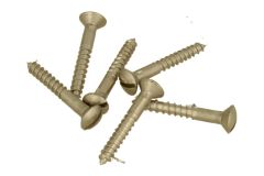 Sleufschroeven 2,8 x 25mm (6 stuks) matnikkel